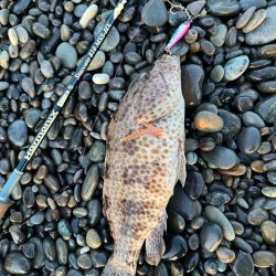 サーフでまさかの‥