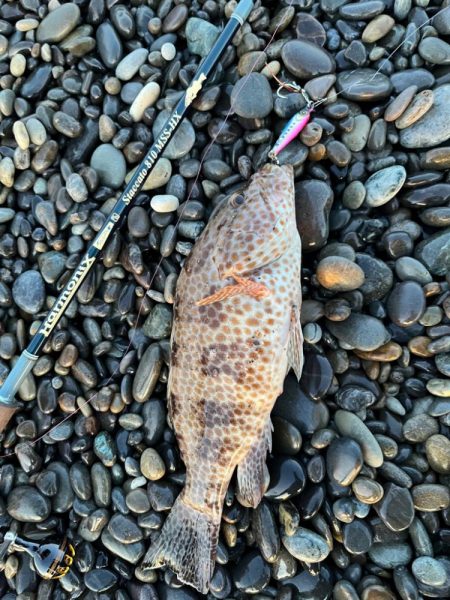 サーフでまさかの‥