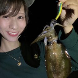 昨夜もエギング&アジングでした♪