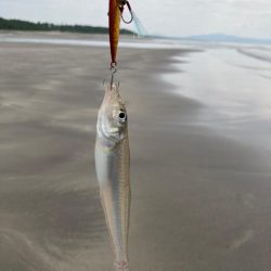 サーフ五目釣り