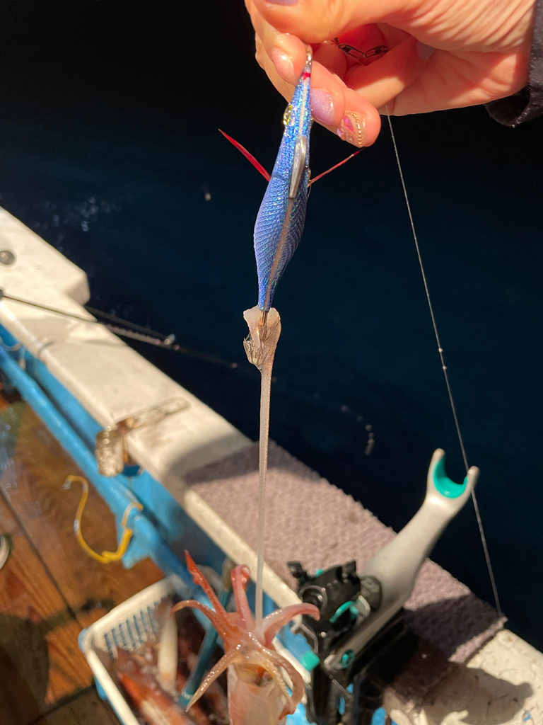 福井でイカメタル