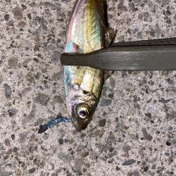 ボトムアジング