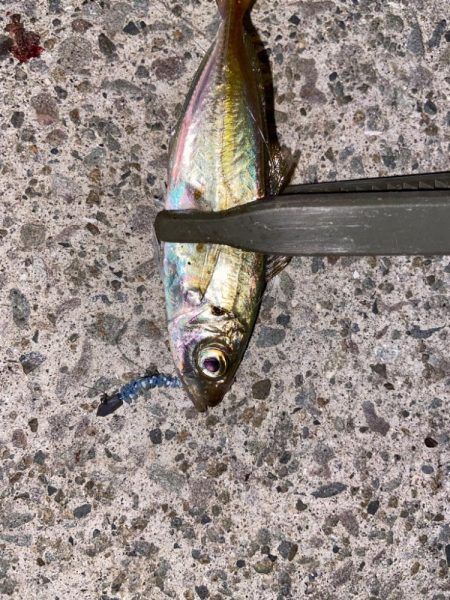 ボトムアジング