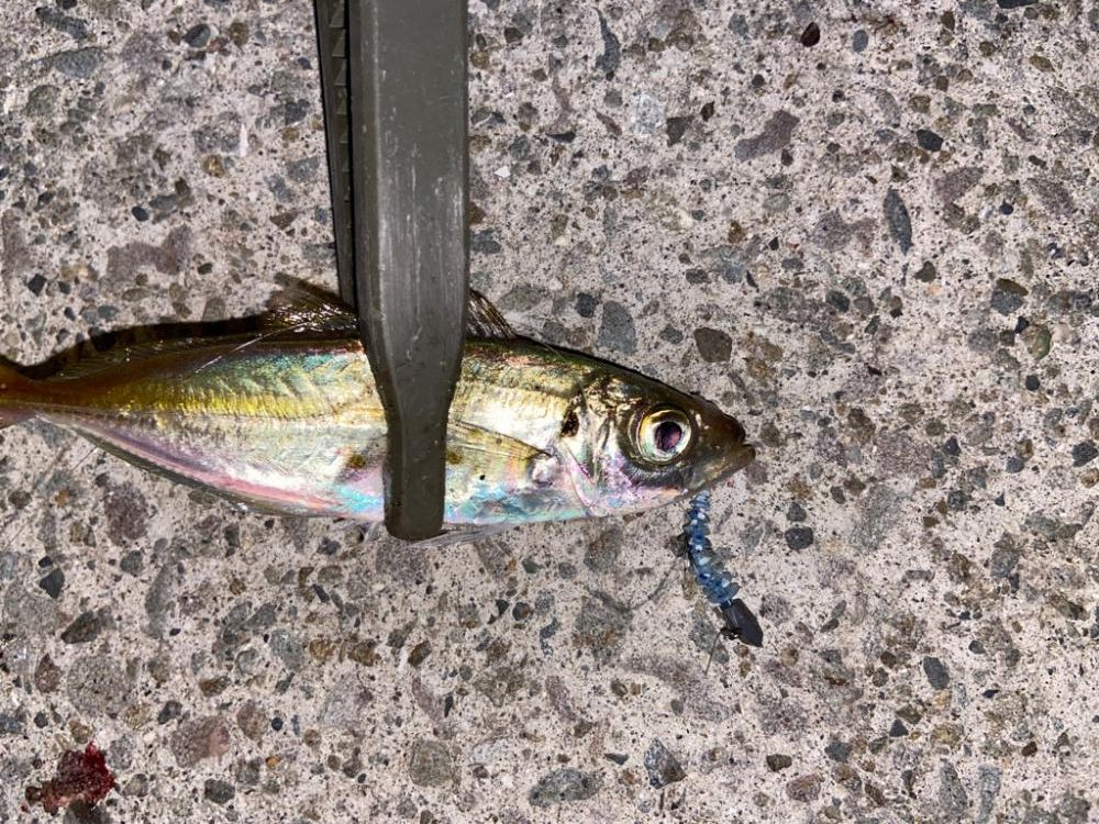 ボトムアジング