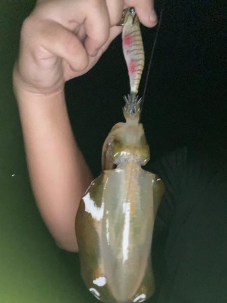 良型を求めてエギングへ！！