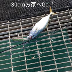 食料調達に釣行するも…