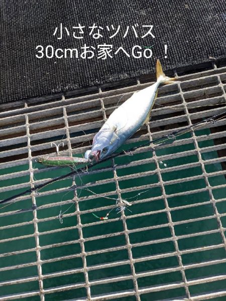 食料調達に釣行するも…