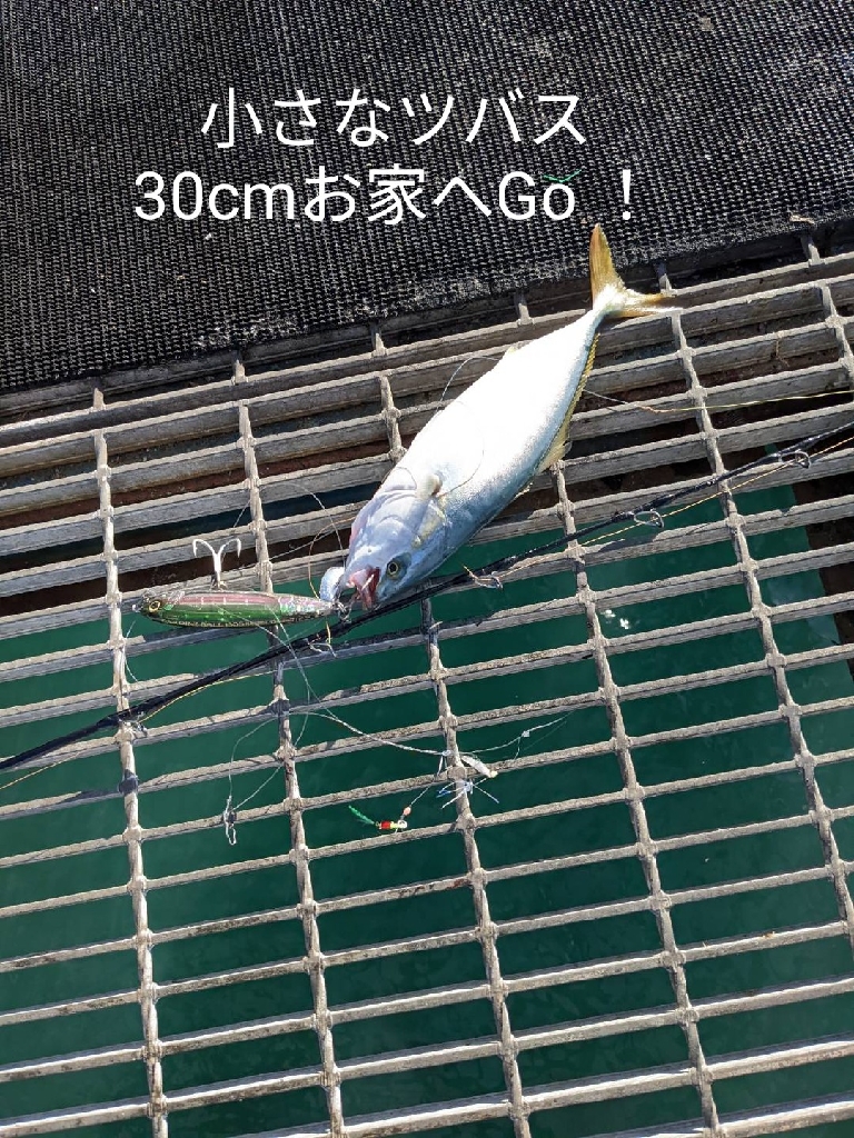 食料調達に釣行するも…