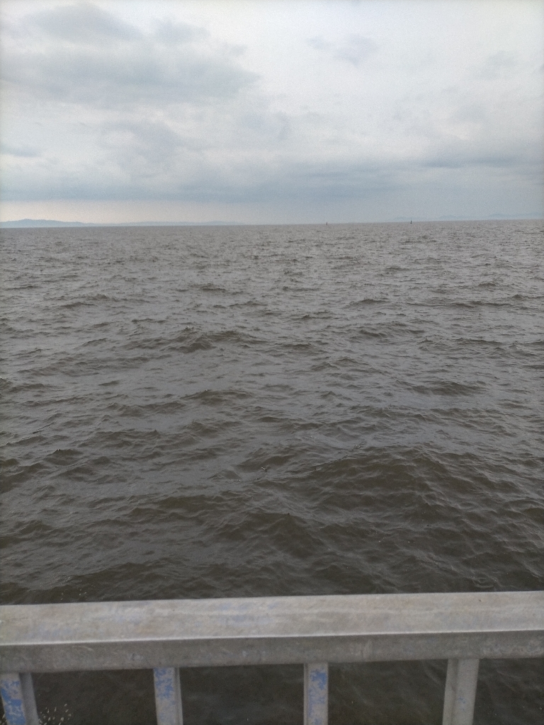 エギングするつもりでしたが…