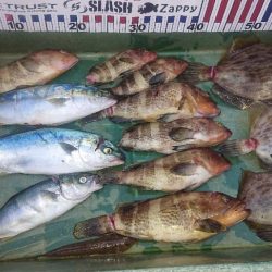 大潮の微妙な釣果