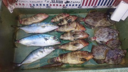 大潮の微妙な釣果