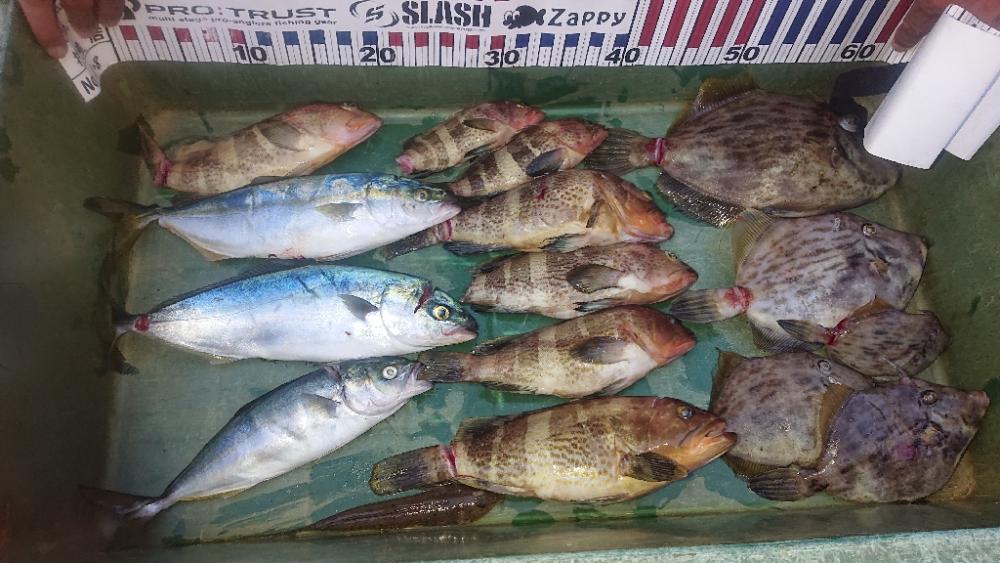 大潮の微妙な釣果