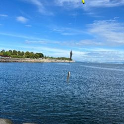 Kissは天ぷらにして～🎵…