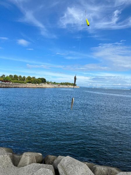 Kissは天ぷらにして～🎵…