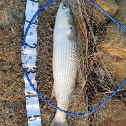 ソフトでもハードでも