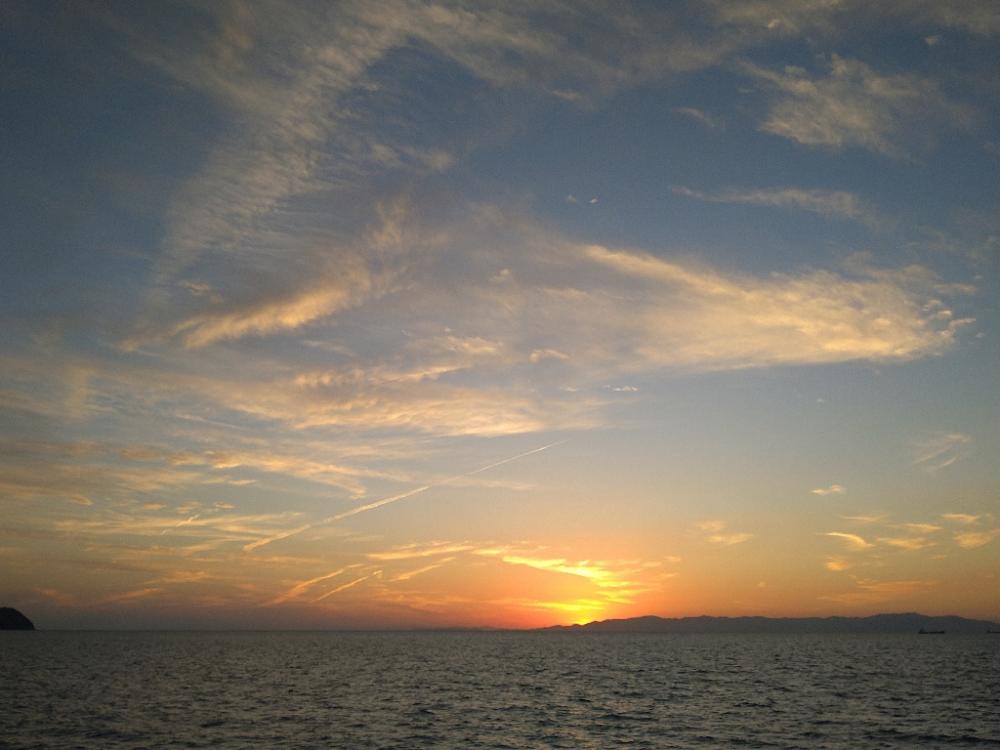 久しぶりの青物