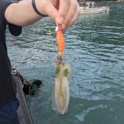 日本海イカ調査