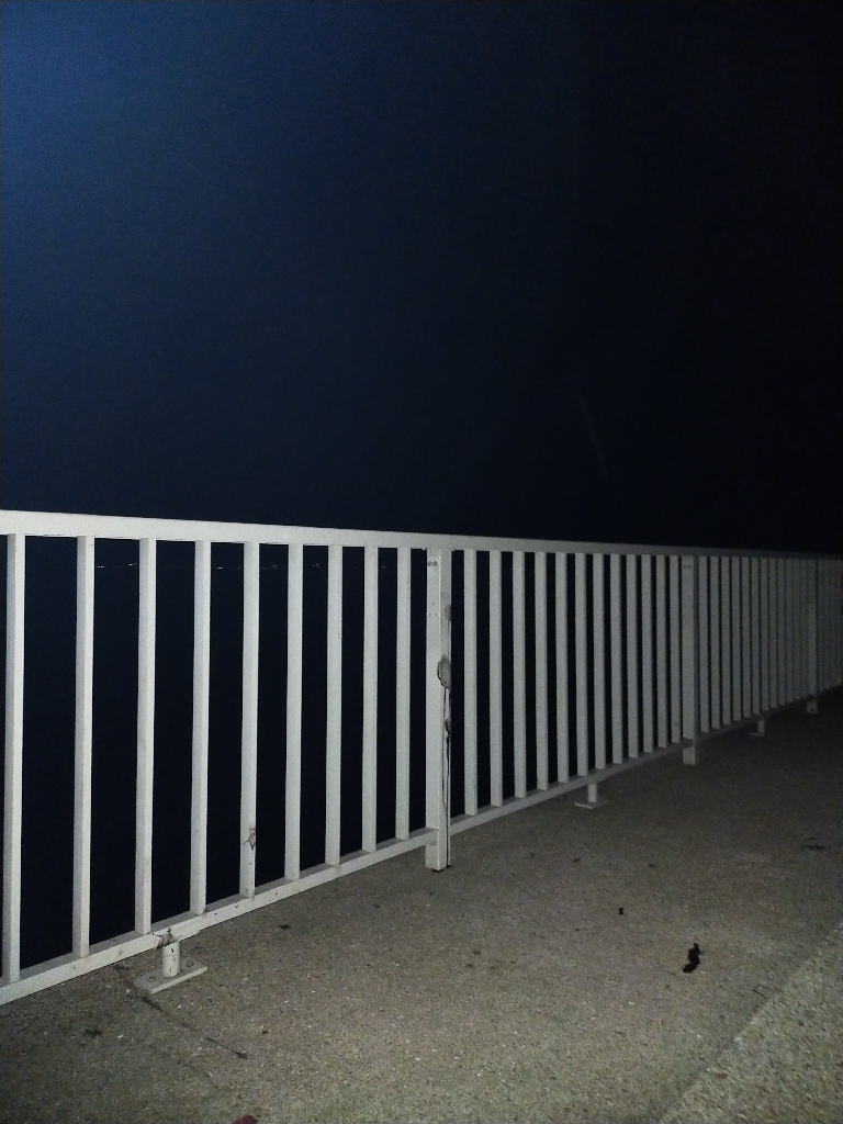 ケンサキエギング③