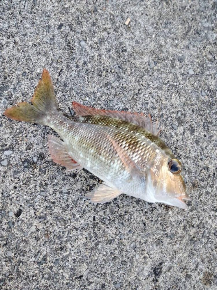 飲ませでｷﾀ━(ﾟ∀ﾟ)━!