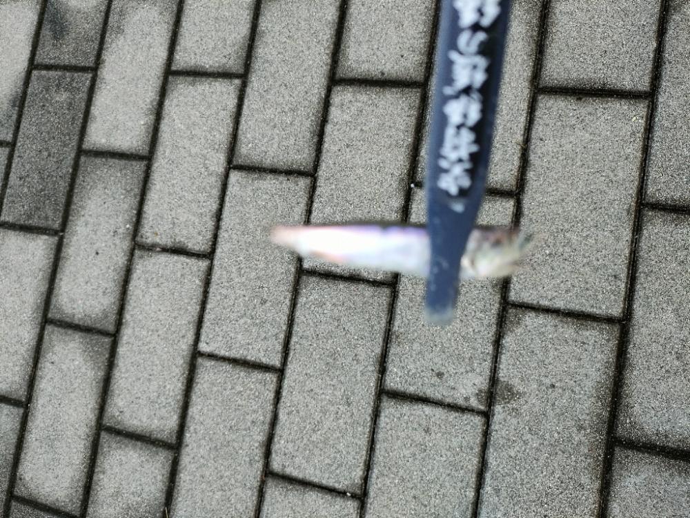 久々にサバゲー