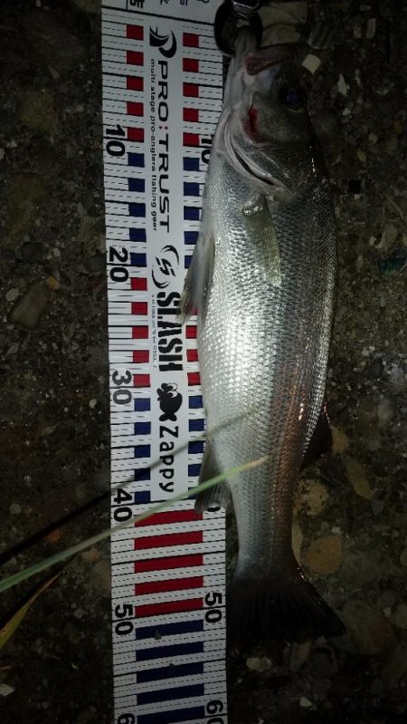 日高川チャレンジ