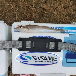 敦賀半島へキス釣り