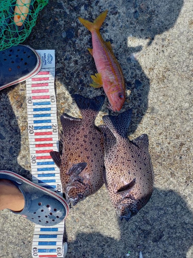 沖ノ島遠征1日目