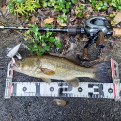 ちょうど良い雨