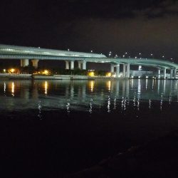 癒やしに小物釣り＆釣り場調査