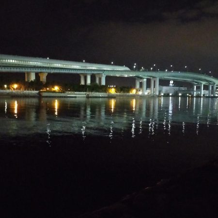 癒やしに小物釣り＆釣り場調査