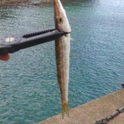 串本遠征最終日