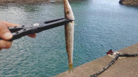 串本遠征最終日