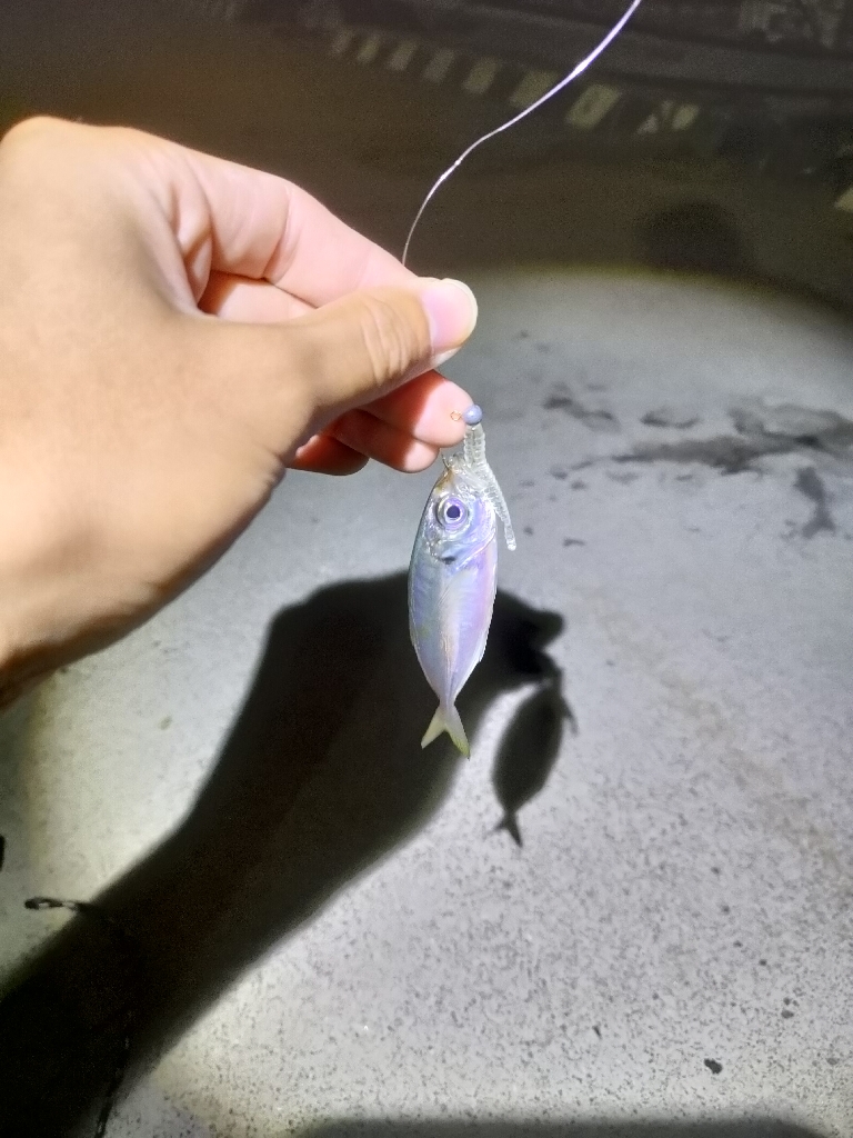 おNewのリールで♪