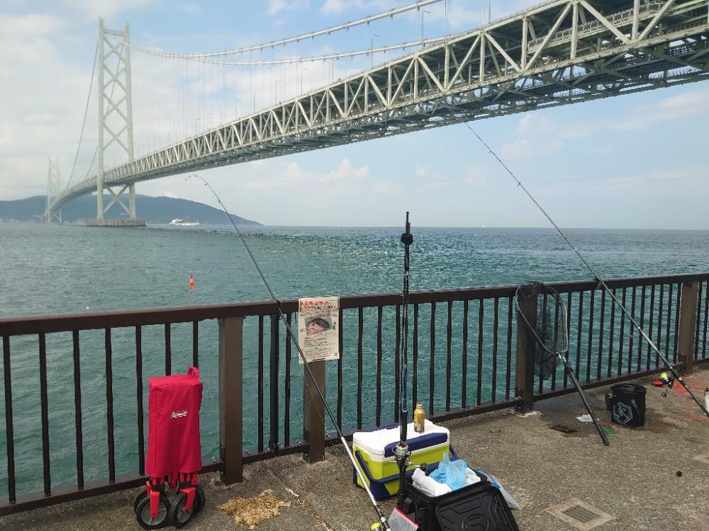 ノマセ釣りチャレンジ