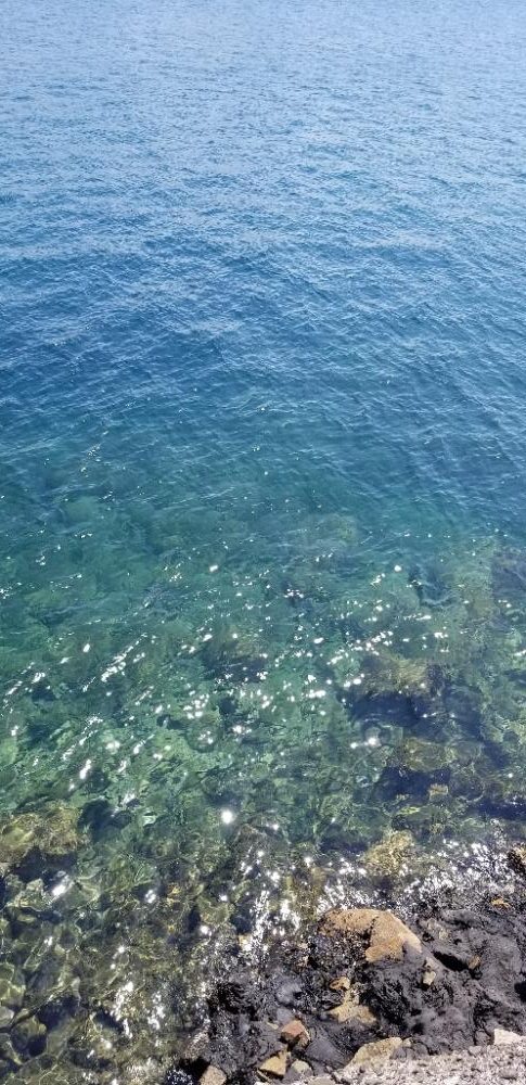 エギングには早すぎた