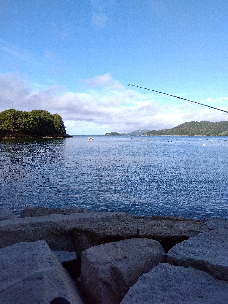 室津のキス釣り