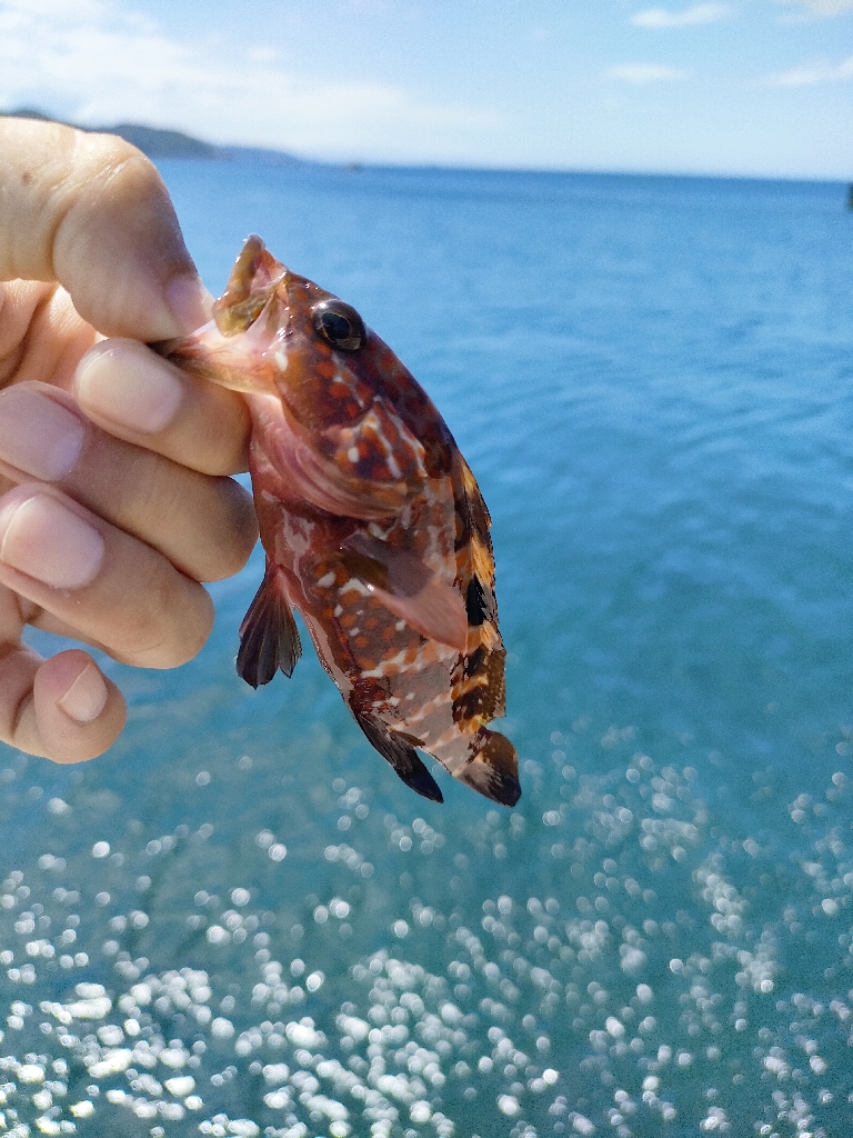 小潮にしては…