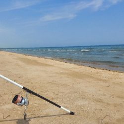 キス釣り　遠征