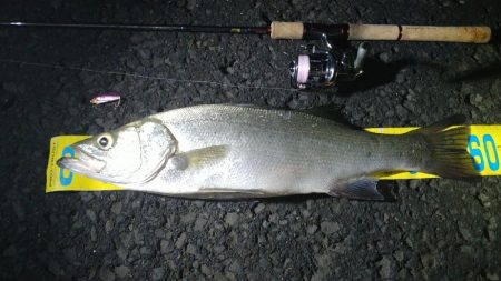 豆アジの群れにメタルバイブ