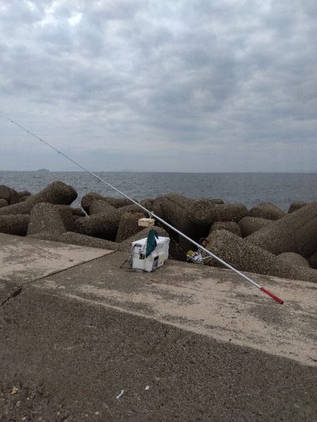 高砂港のキス釣り