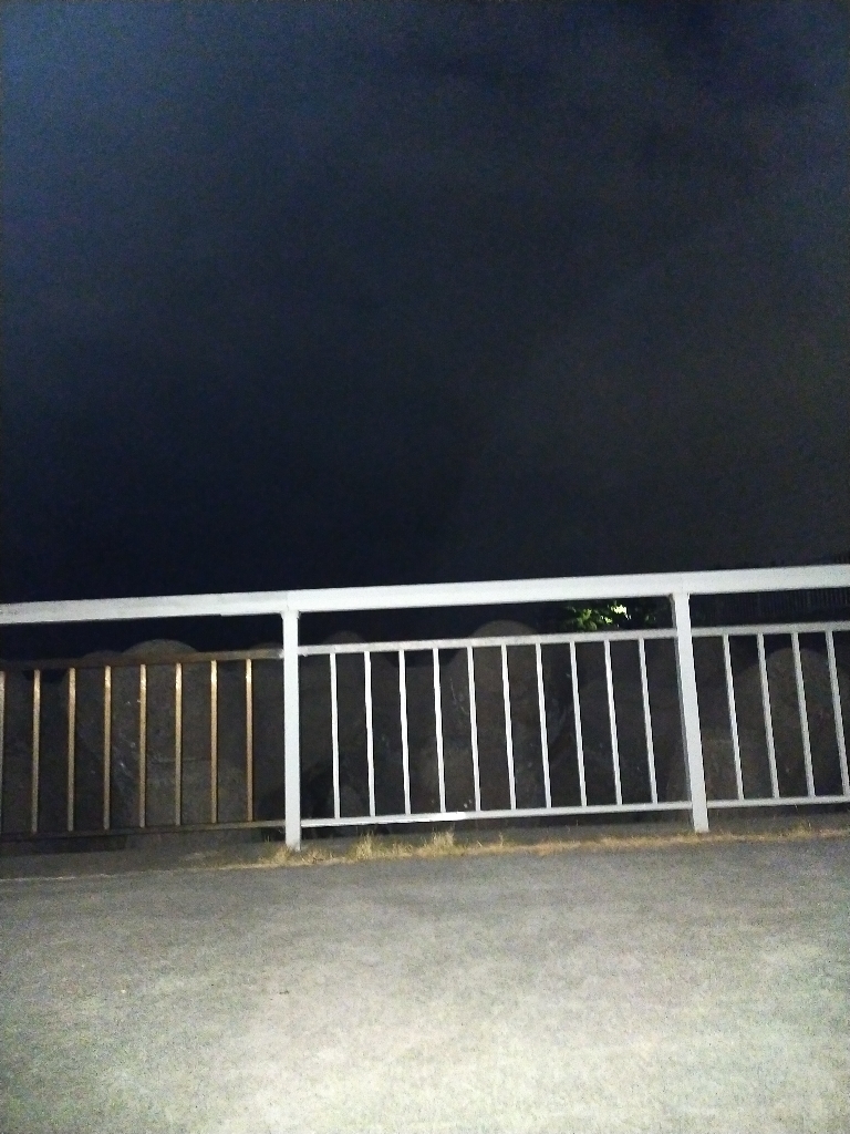 ケンサキエギング