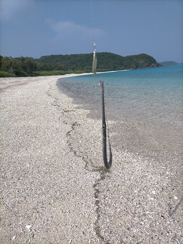 初めて釣れた!!