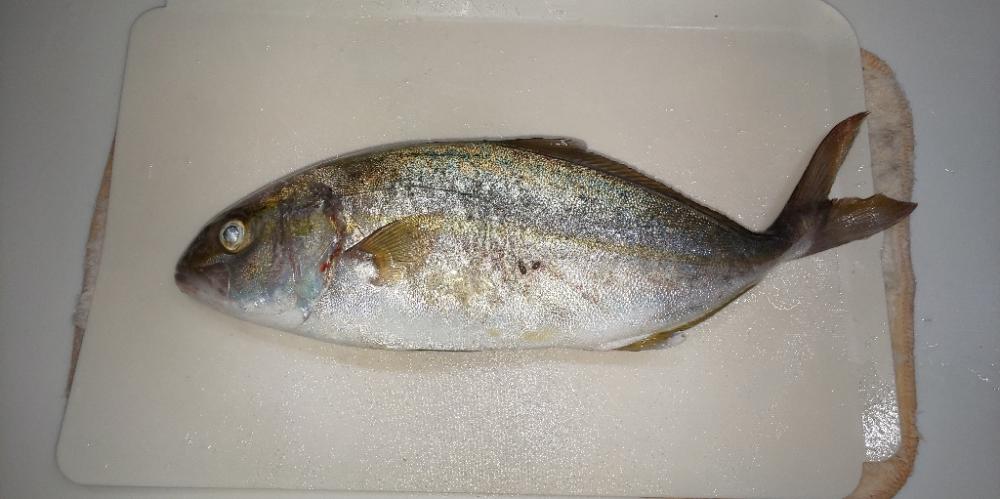 17時30分過ぎに❗️