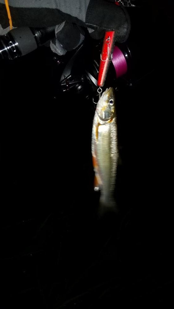 日高川~有田川ランガン