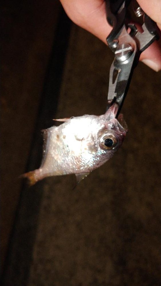 台風後明け厳しい天候の潮岬