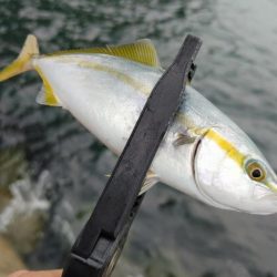 りんくうライトゲーム