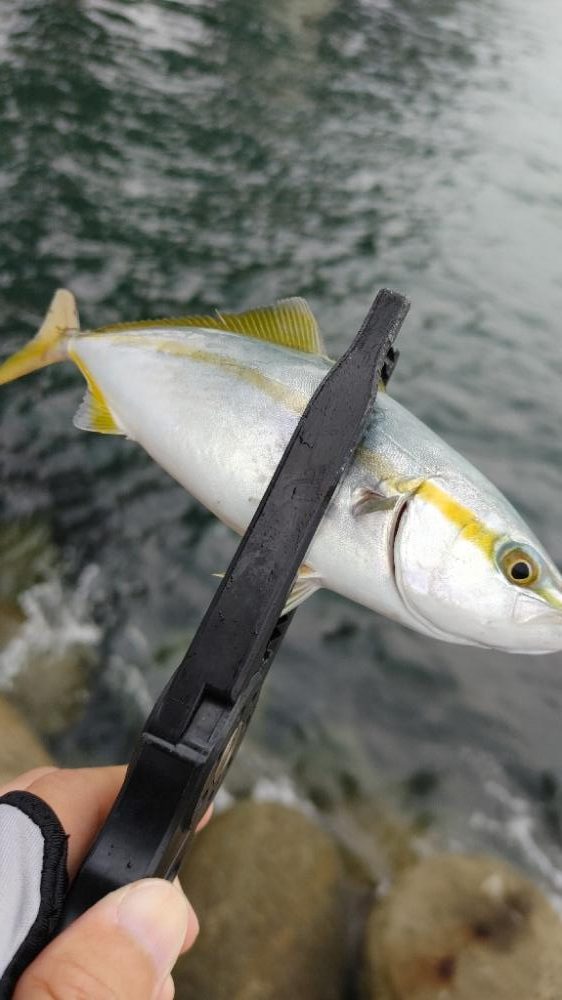 りんくうライトゲーム