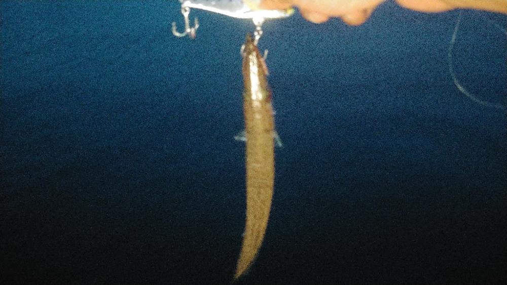 釣りツーリングキャンプ2日目