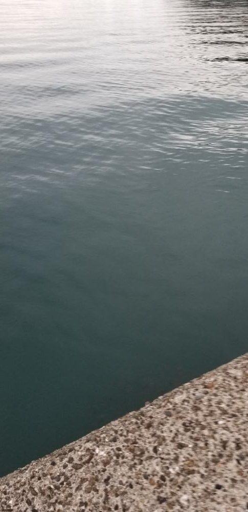 寝坊してもなんとか釣れました。