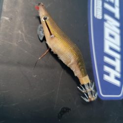 日曜日って、釣り人多い